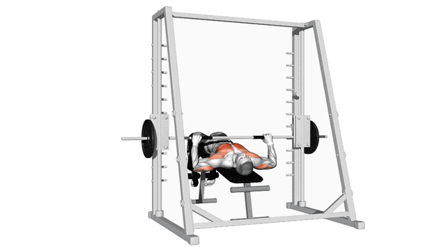 Animation Developpe decline (Smith machine)