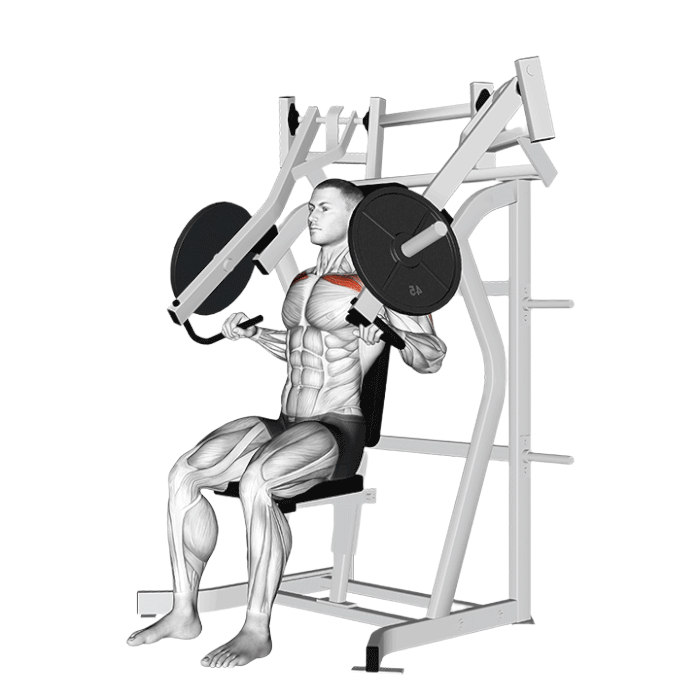 Développé incliné (Machine convergente)