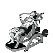 Developpe incline (Machine)