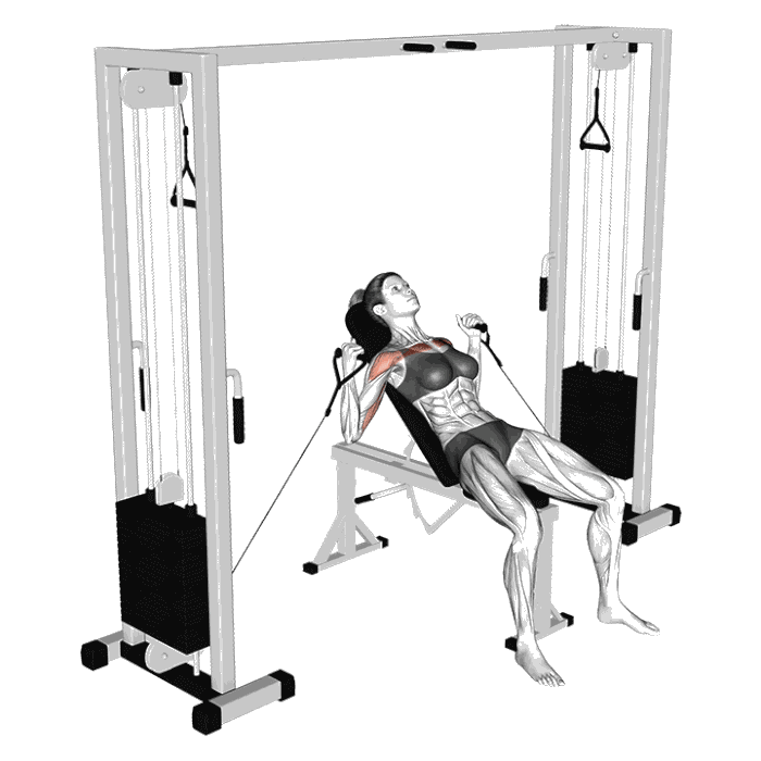 Animation Développé incliné (Poulie)