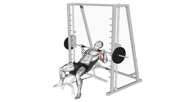 Animation Developpe incline (Smith machine)
