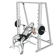 Developpe incline (Smith machine)