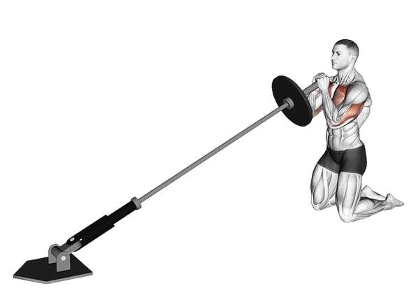 Développé landmine à genoux