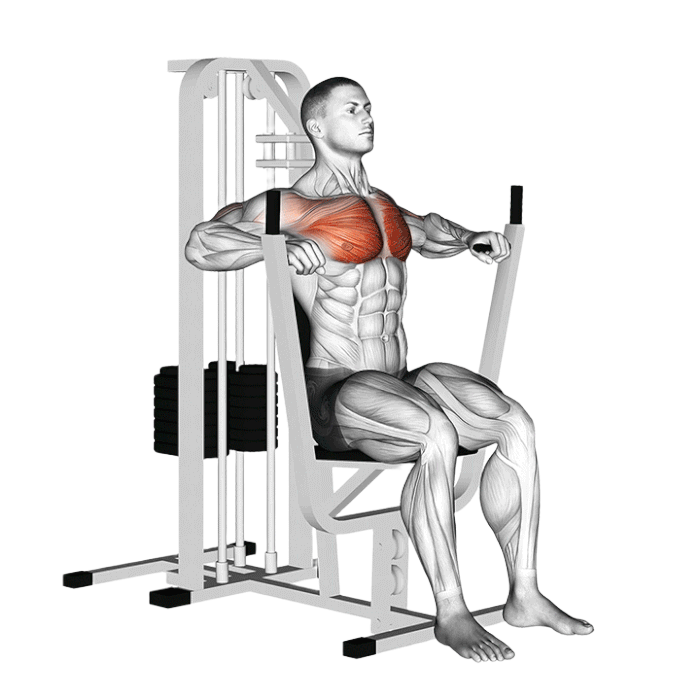 Développé pectoraux (Machine)