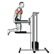 Dips pectoraux (Assite)