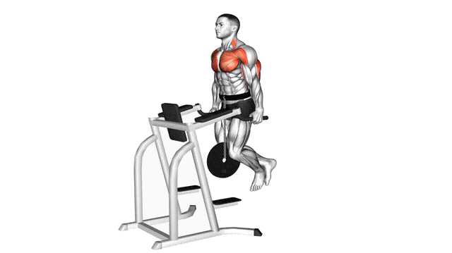 Animation Dips pectoraux (Leste)