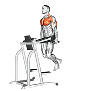 Dips pectoraux
