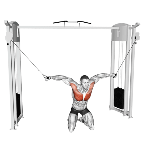 Écarté à la poulie vis à vis haute à genoux