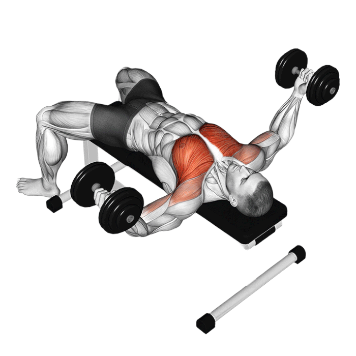 Ecarté couché haltère