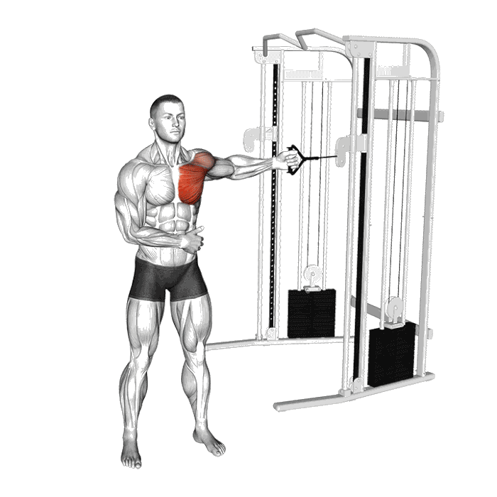 Animation Ecarté unilatéral à la poulie