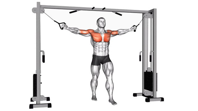 Animation Ecartes croise (Poulie)