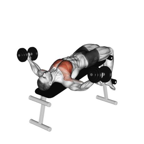 Écartés décliné (Haltères)