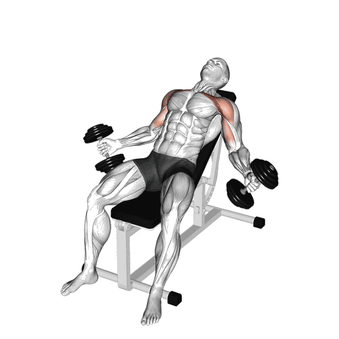 Animation Écartés Hyght