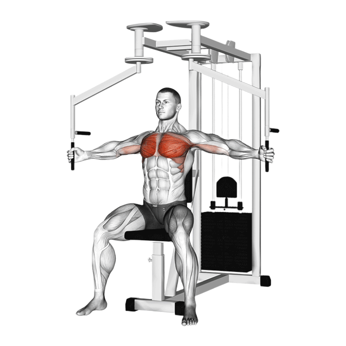Pec deck butterfly