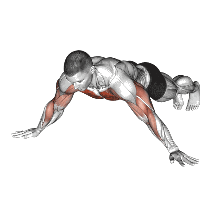 Animation Pompe archer