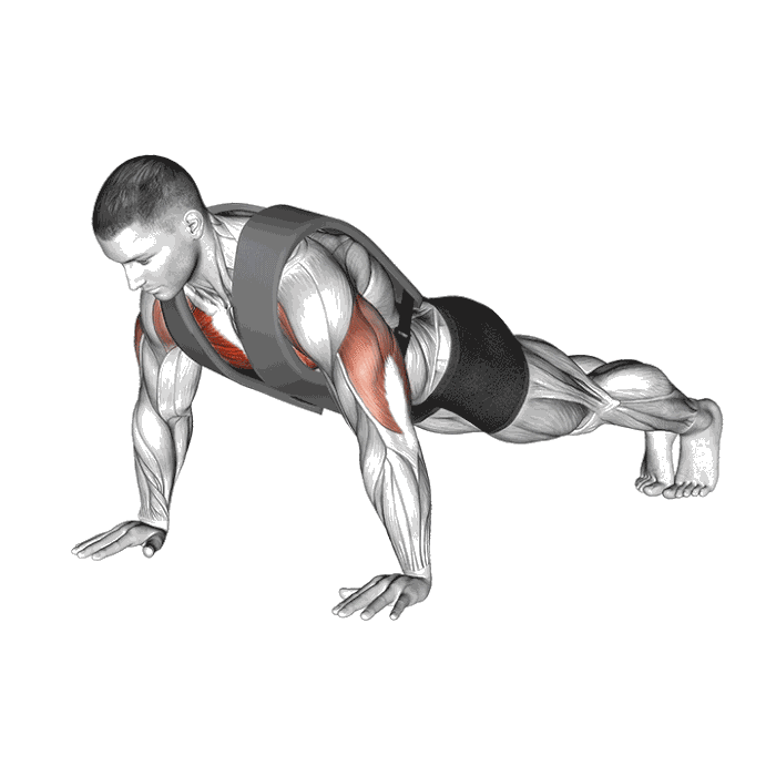 Animation Pompe avec gilet lesté