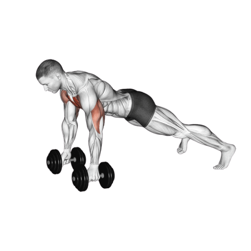 Pompe avec haltères