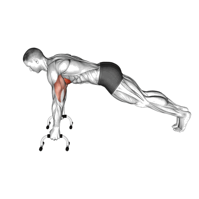 Animation Pompe avec poignées ergonomiques