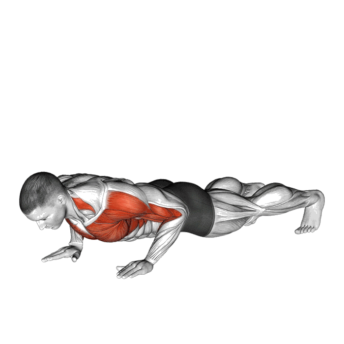 Animation Pompe claquée