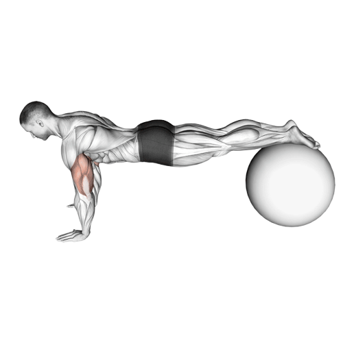 Pompe déclinée sur ballon de gym