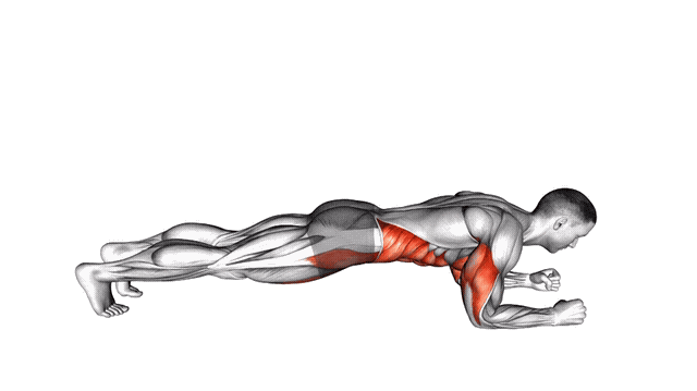 Animation Pompe en planche