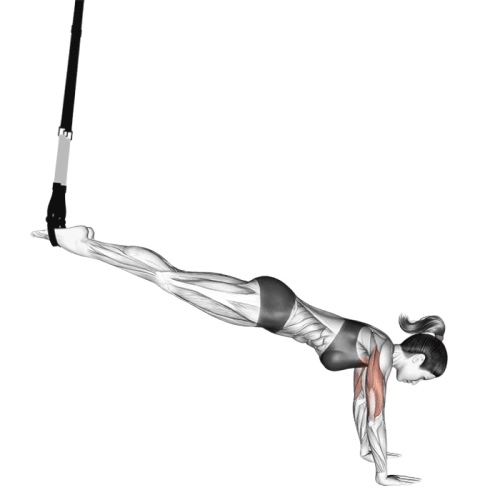 Pompe inclinée avec sangles de suspension