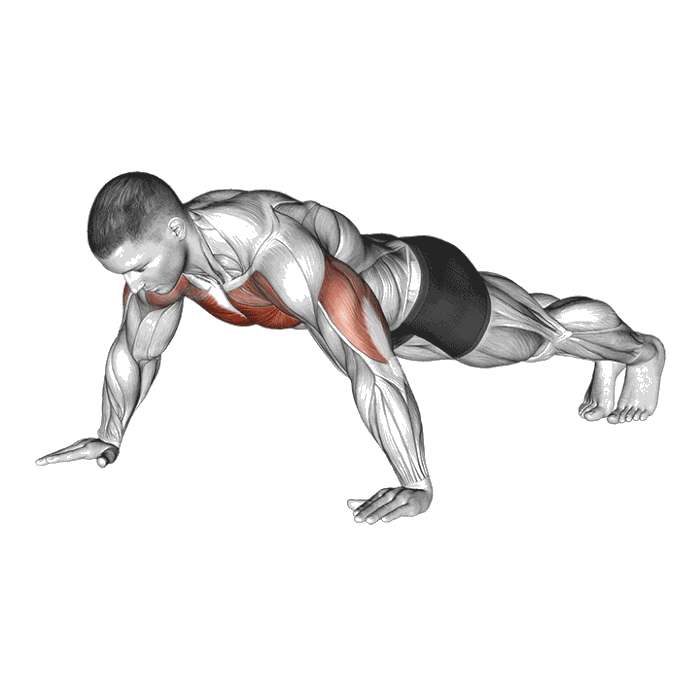 Animation Pompe mains écartées