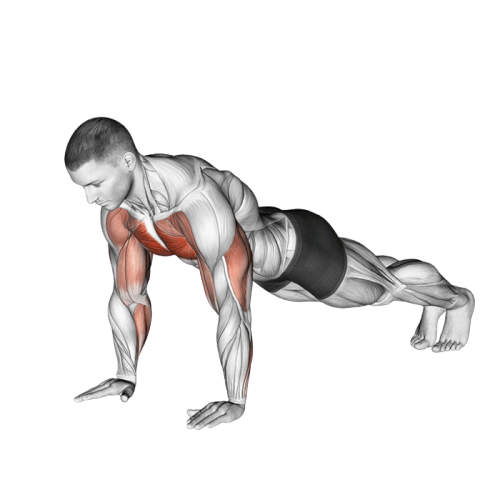 Pompe pliométrique sautée