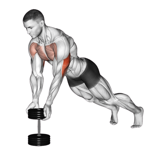 Pompe serrée avec haltère