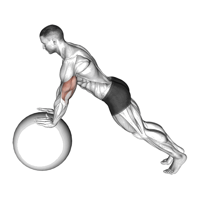 Animation Pompe sur ballon de gym