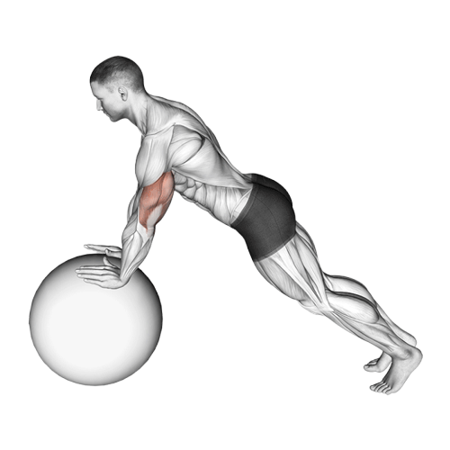 Pompe sur ballon de gym