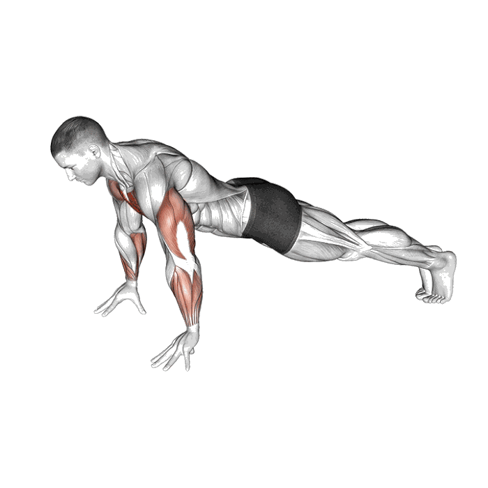 Animation Pompe sur les doigts