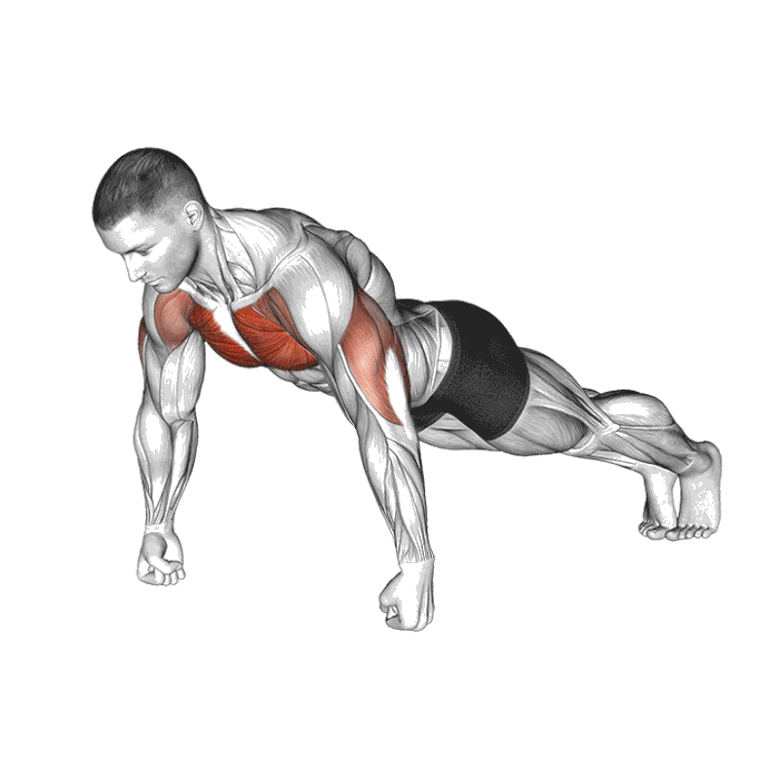 Animation Pompe sur les poings