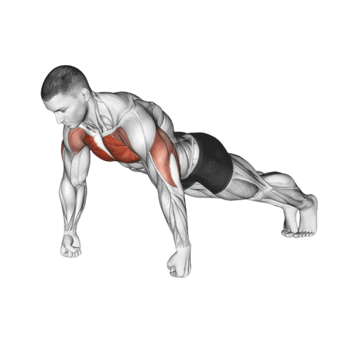 Pompe sur les poings