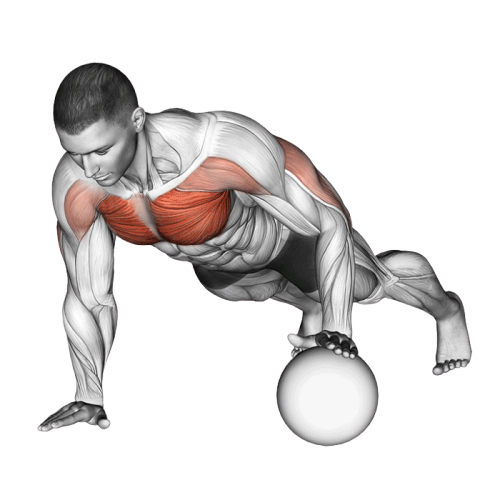 Pompe sur medicine ball