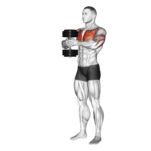 Svend press (Halteres)