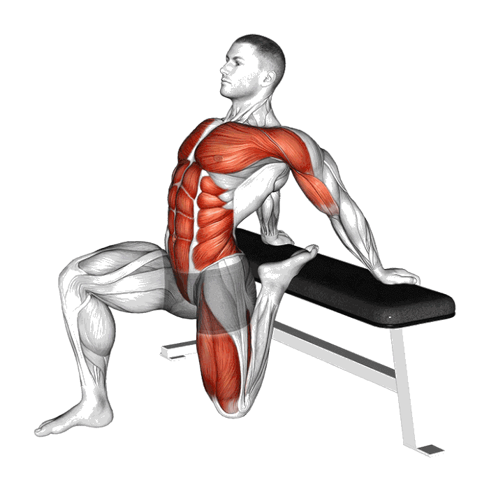 Animation Étirement du psoas