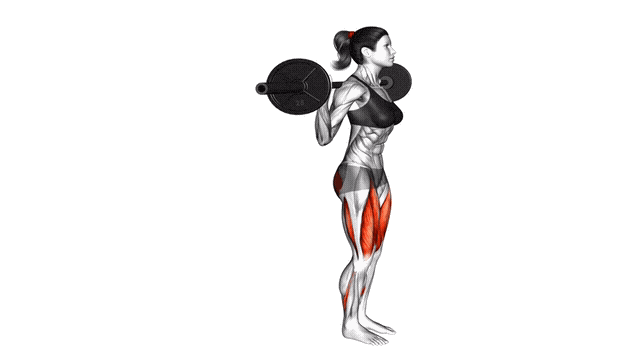 Animation Fente arriere (Barre)