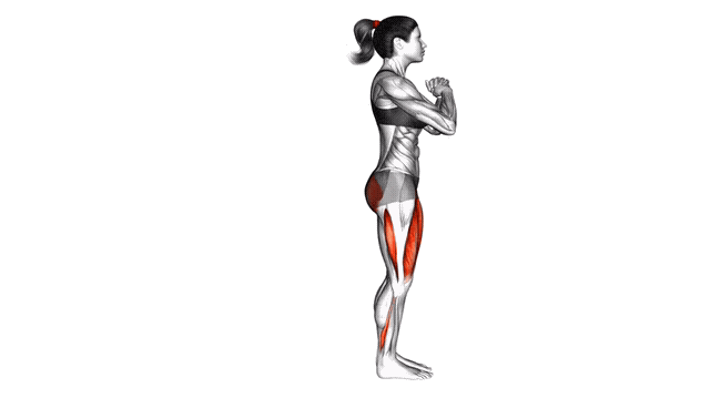 Animation Fente arriere