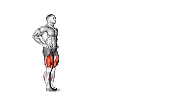 Animation Fente avant