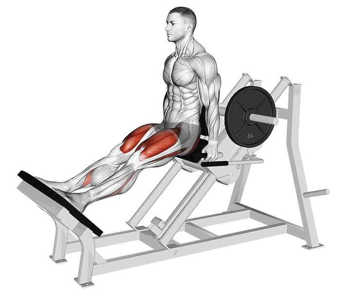 Animation Hack Squat assis