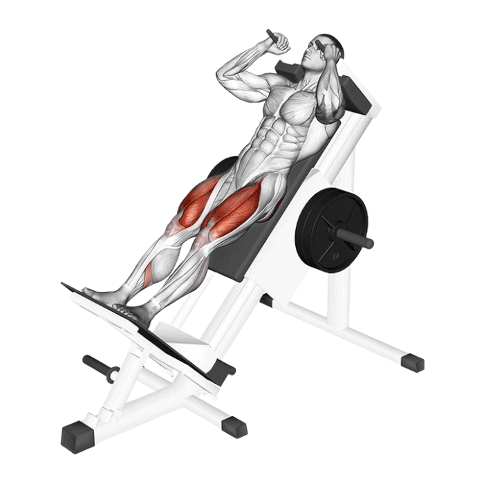 Hack Squat (Machine)