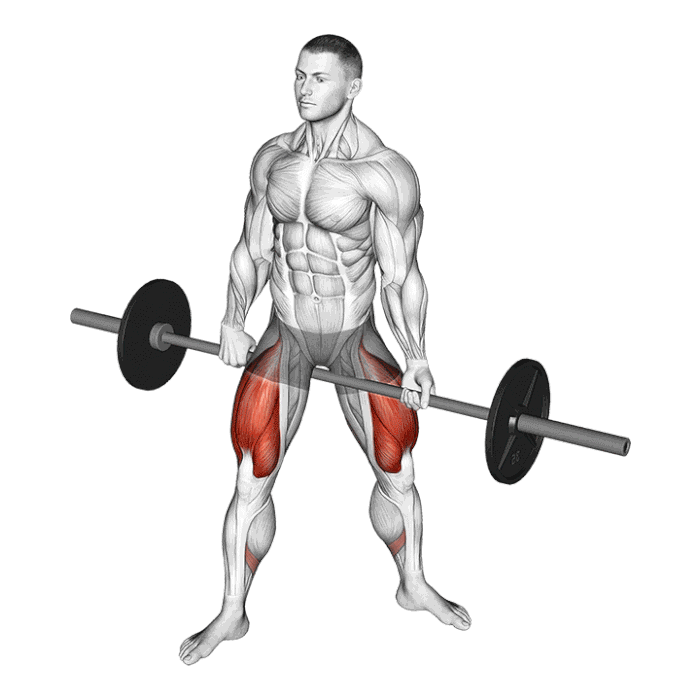 Animation Jefferson Squat