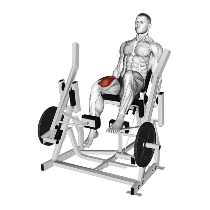 Leg extension iso-latéral unilatéral (Machine)