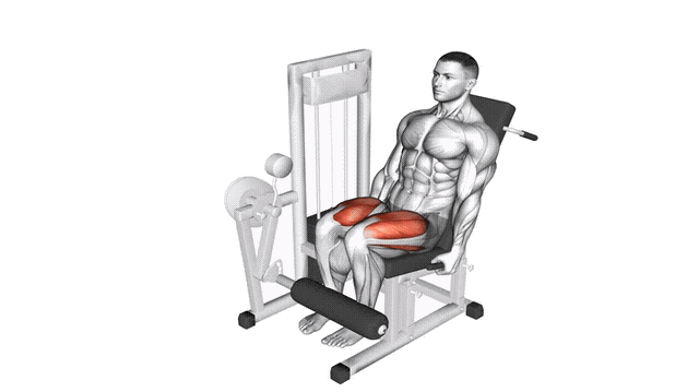 Animation Leg extension (Machine)