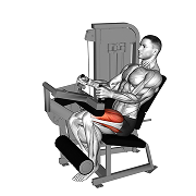 Leg extension unilateral (Machine)