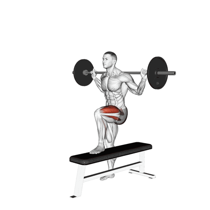 Animation Montées sur banc latérales avec barre