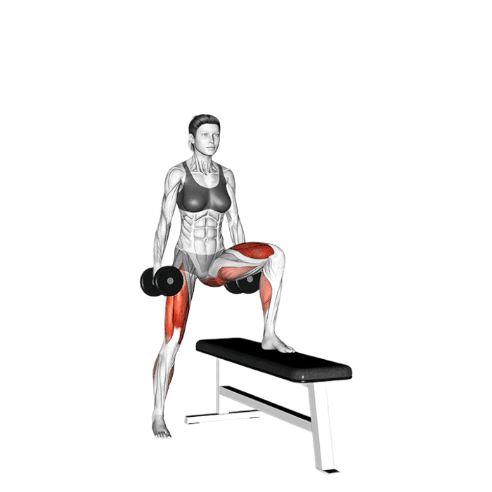 Montées sur banc latérales avec haltères