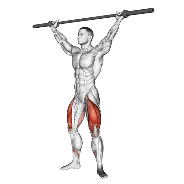 Animation Overhead Squat