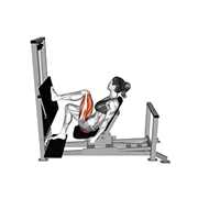 Presse a cuisse unilateral (Machine)